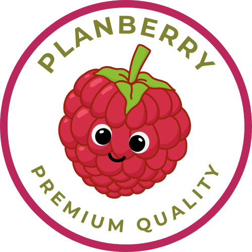 PlanBerryLogo